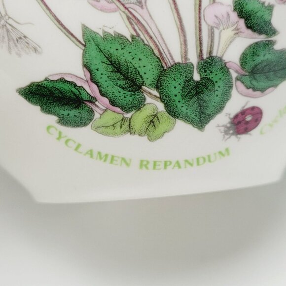 Portmeirion Botanic Garden 5" Chili Bowl Cyclamen Pink Floral, Butterfly & Moths - Picture 2 of 11